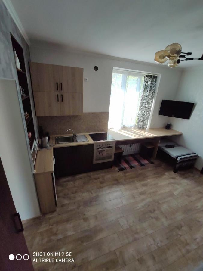 איוונו-פרנקיבסק Однокімнатна Квартира-Студія Біля Парку Шевченка מראה חיצוני תמונה